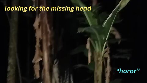 looking for the missing head