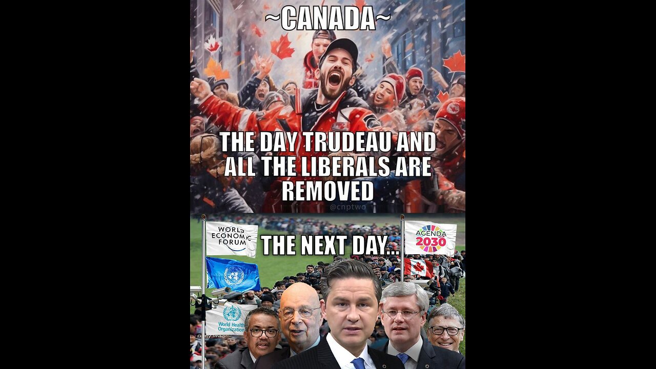 Cutting Through The Bullshit