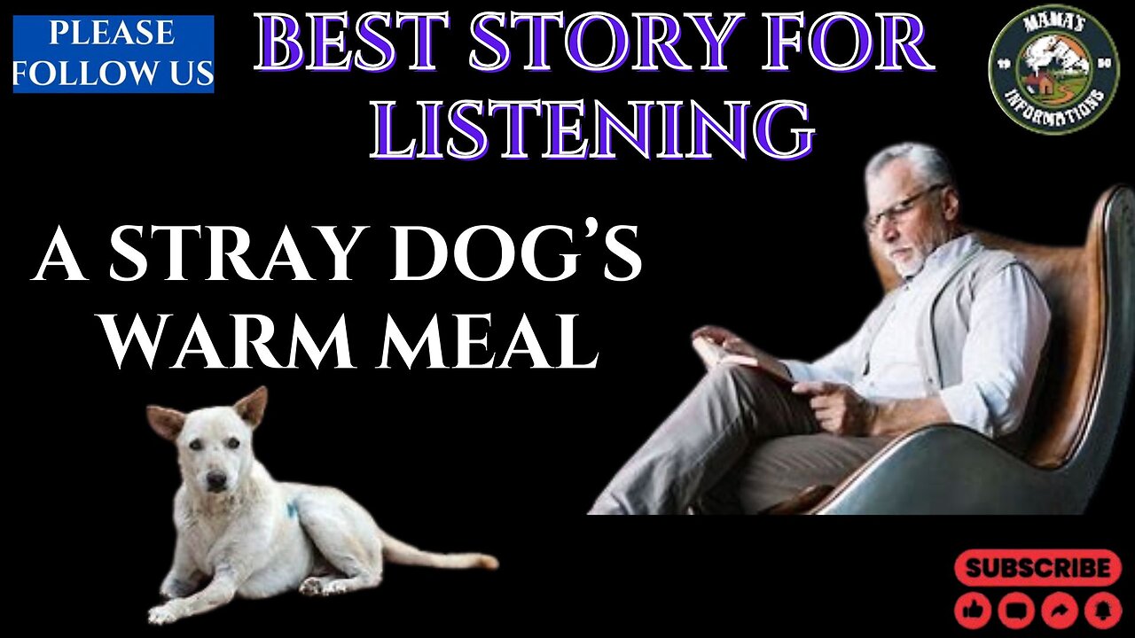 BEST ENGLISH STORY FOR LISTENING ] A STRAY DOG’S WARM MEAL] IMPROVE YOUR ENGLISH ]