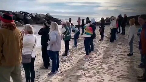 These people are retarded Liberals “Primal Scream” at Lake Michigan to vent about Trump winning.