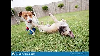 Siblings Play
