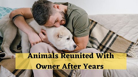 Animals Reunited With Owner After Years !