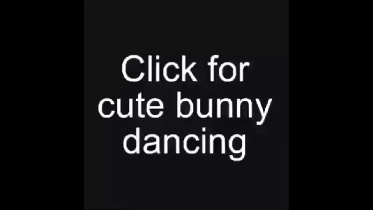 Cute dancing bunny