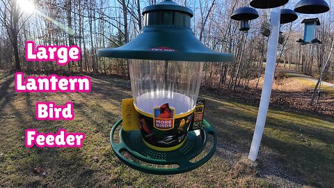 Large Lantern Bird Feeder