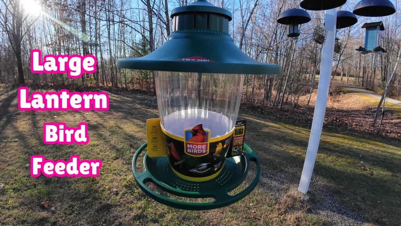 Large Lantern Bird Feeder