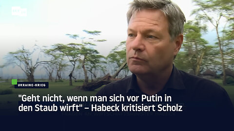 "Es geht nicht, sich vor Putin in den Staub zu werfen" – Habeck kritisiert Scholz