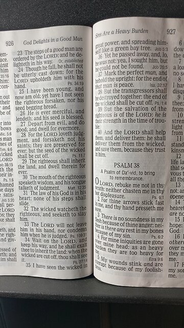 Sagely Advice for Tim Pool