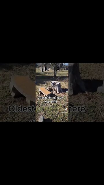 I wonder what the view was like in 1886? #time #history #grave #memorial #taphophile