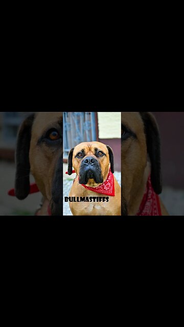 Top 10 hardest dog breeds to train#shorts