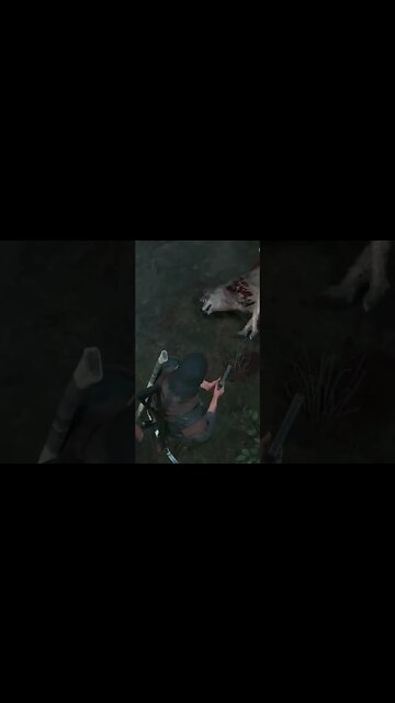 Lobos - Days Gone - Wolves