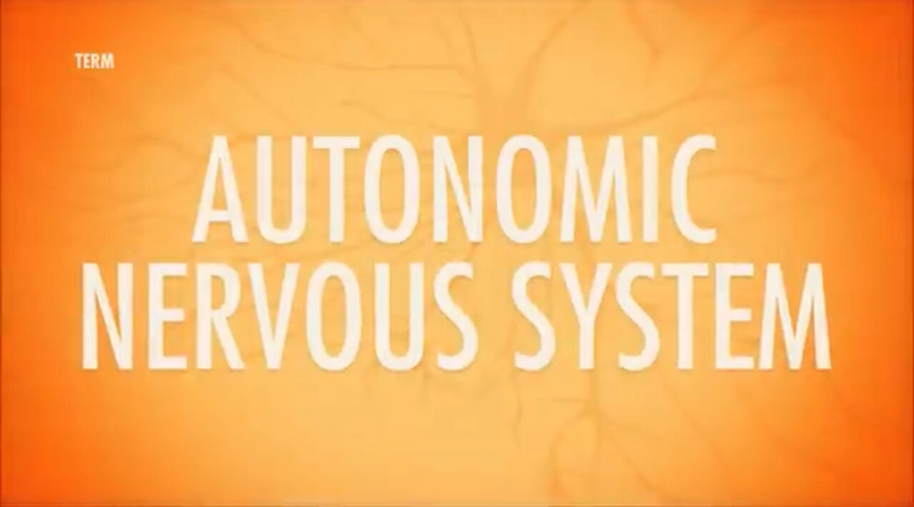 Autonomic Nervous System: Crash Course Anatomy & Physiology