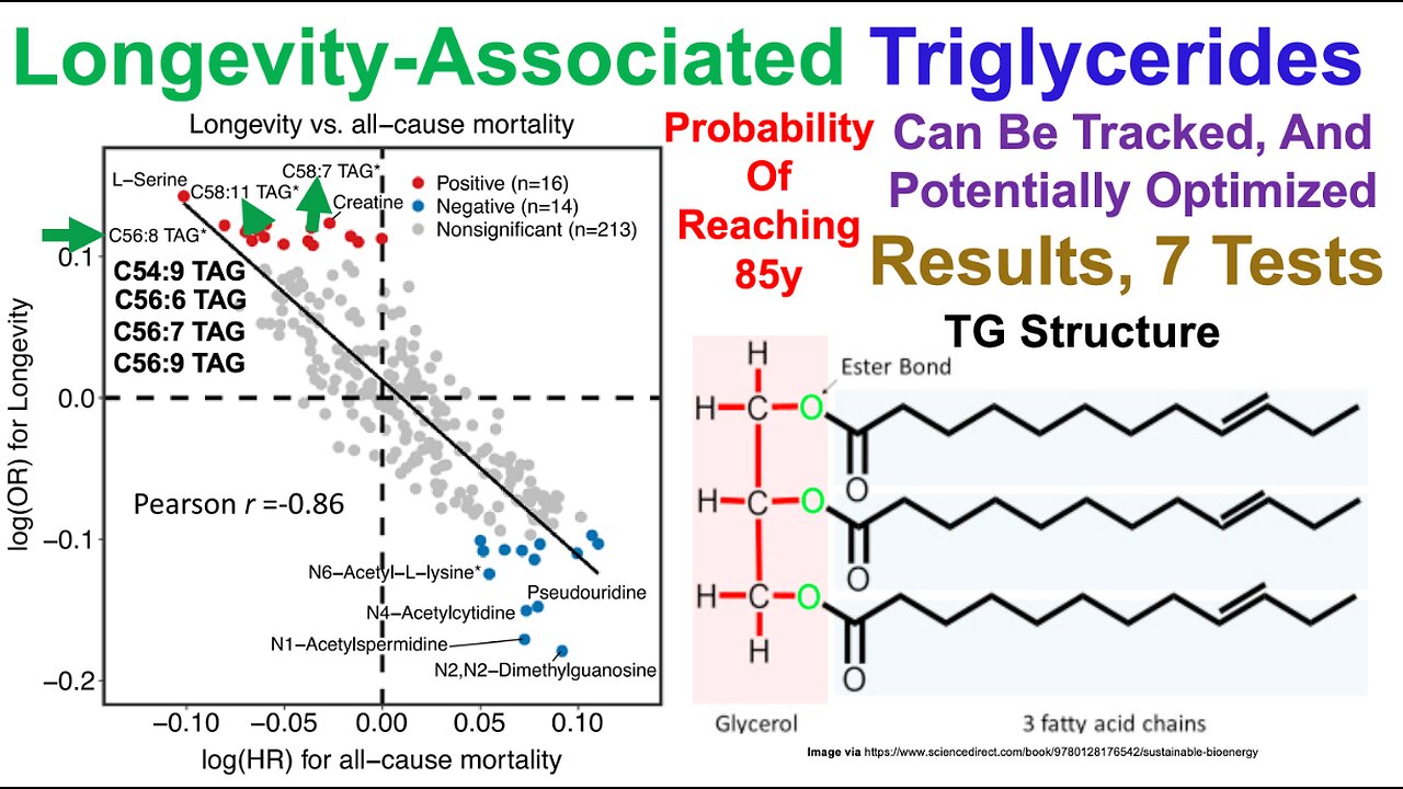 Longevity-Associated Triglycerides (7-Test Results)