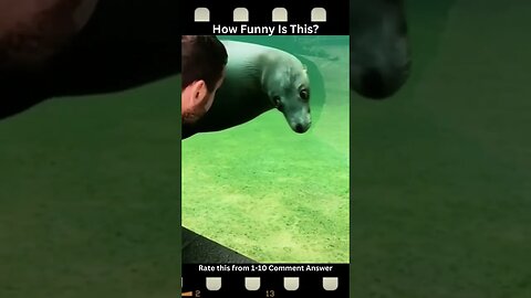 Funny Tiktok Compilation #shorts