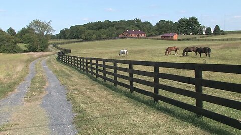 hd farms countryside farm horses SBV 300004488 HD