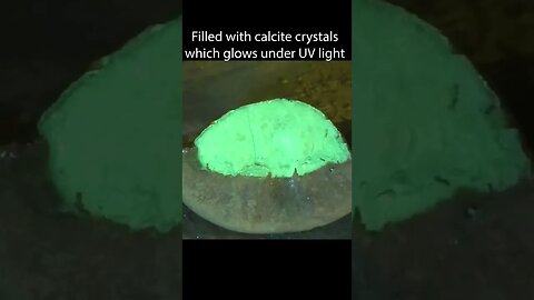 Fossil crab filled with crystals 🦀💎 It glows!