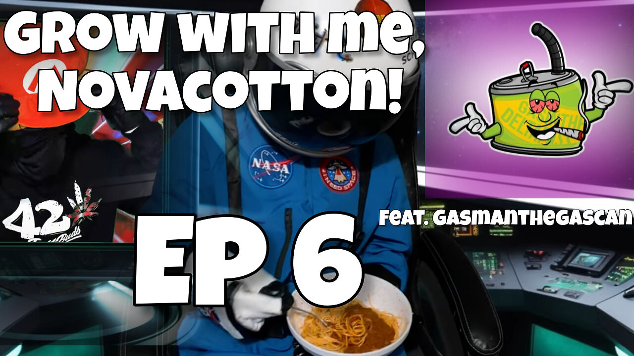 Grow with me, Novacotton! EP. 6 (week 5) Feat. @Gasmanthegascan