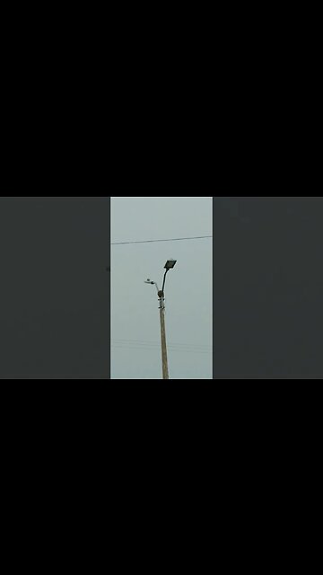 Lluvia en el Tacua #tacuarembó #uruguay (08/02/2023)