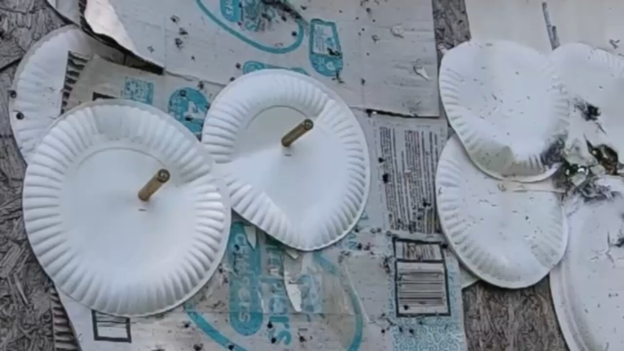 High power rifle rounds exploded after getting hit with a 204 Ruger