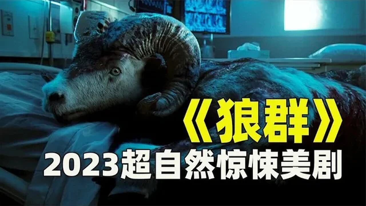 【新剧来袭】2023最新超自然惊悚美剧《狼群》