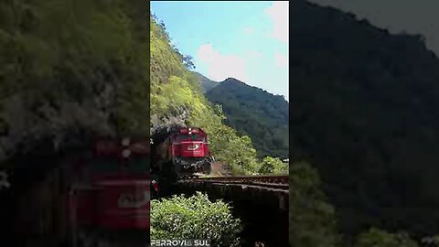 Trem saindo do túnel e entrando no viaduto Carvalho #shorts #train #trem #ferroviasul