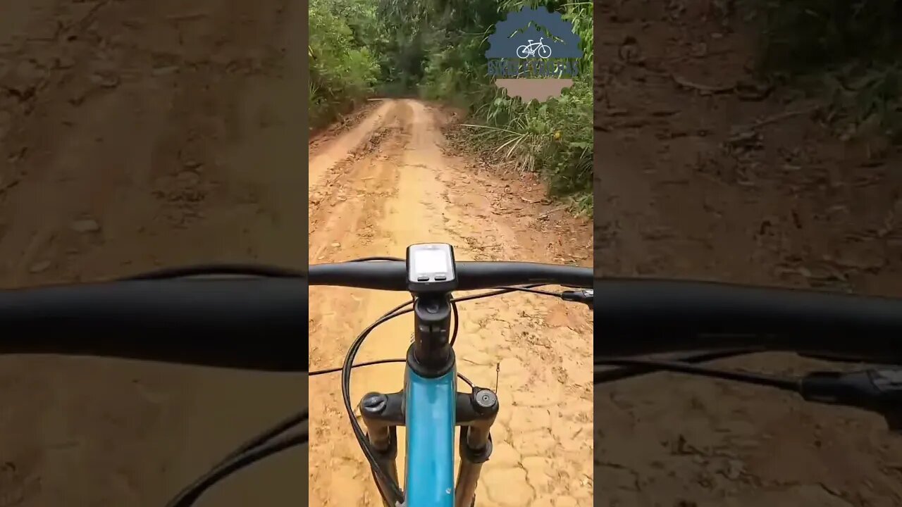 Tenha sempre atenção nas decidas - BIKES E TRILHAS #shorts