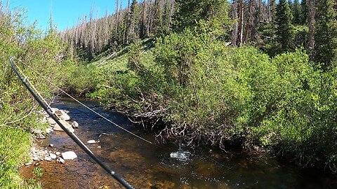 Perfect spot for a brown trout!