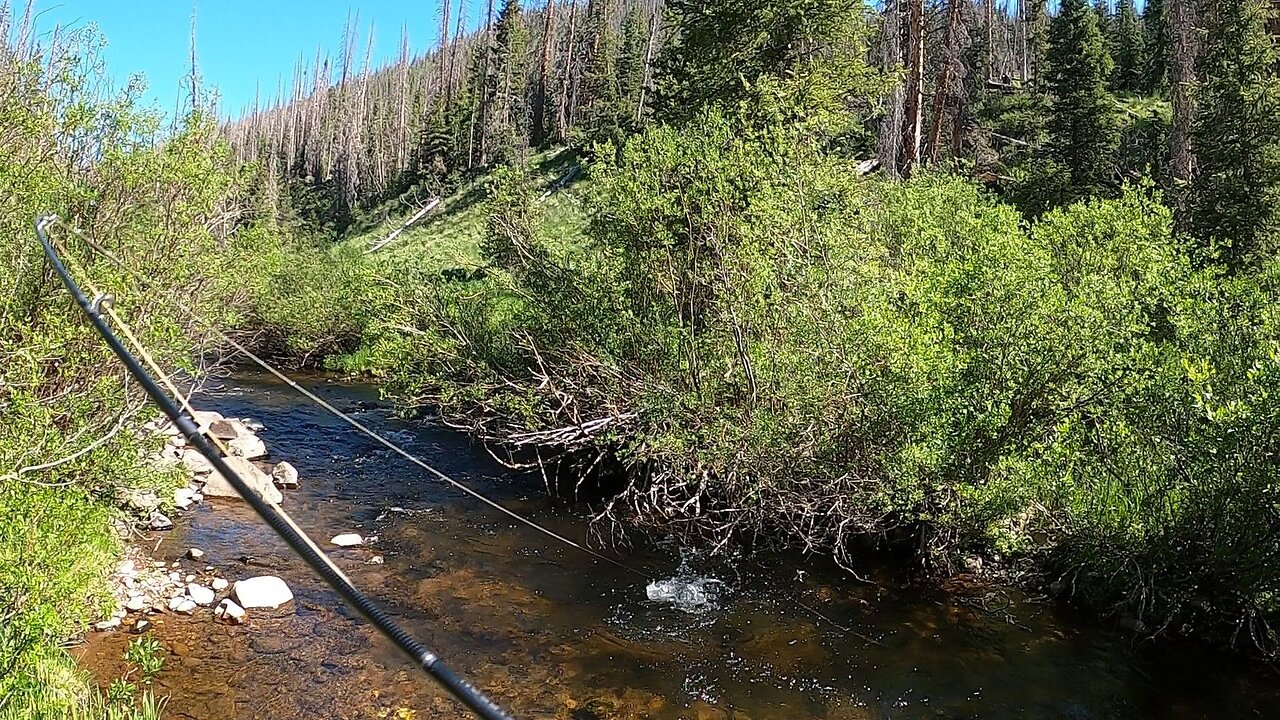 Perfect spot for a brown trout!