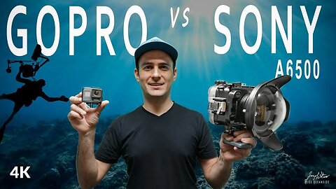 Best Underwater Video Camera - Sony a6500 vs Gopro Hero 7 Black