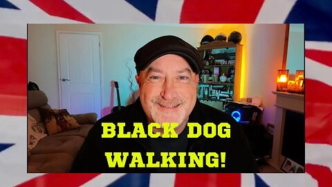 Black Dog Walking!