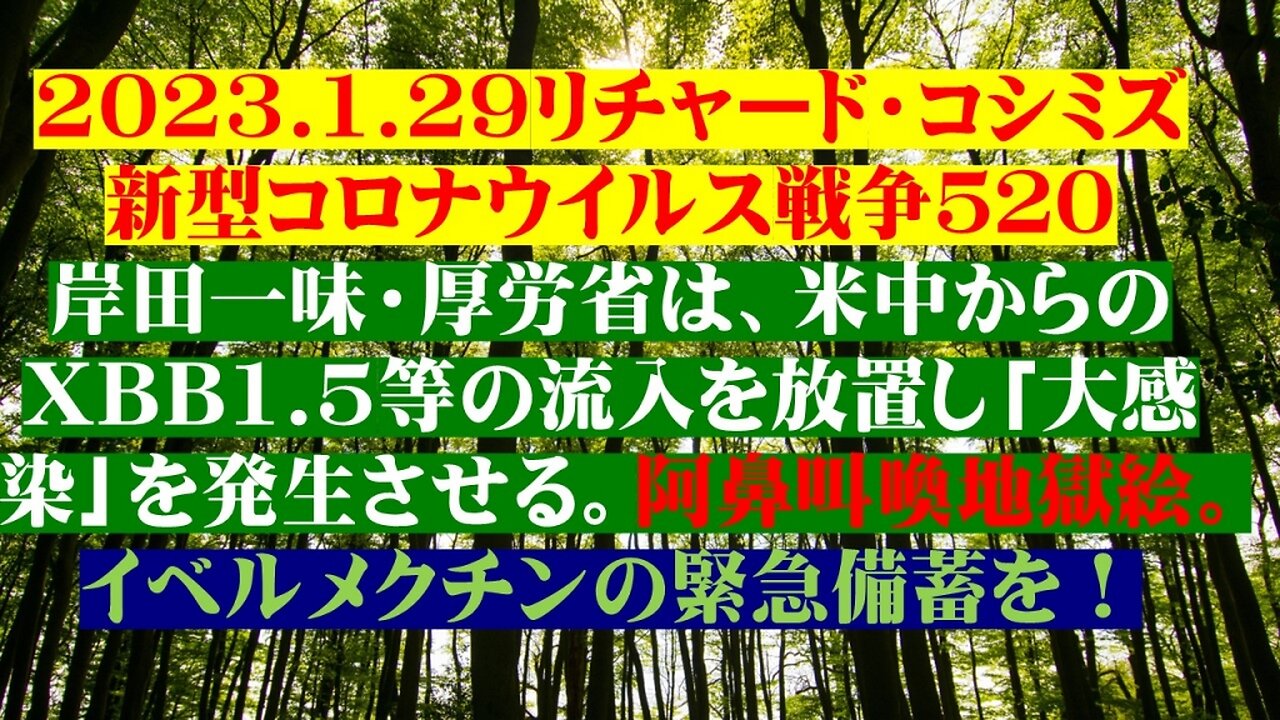 2023.01.29 リチャード・コシミズ新型コロナウイルス戦争５２０