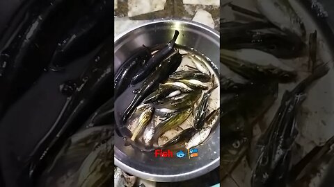 #fish 🐠🎏 #ytshorts #viral #trending #shortvideo #youtubeshorts #fastfood #food #shorts #short