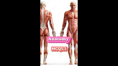 Anatomy MCQS #physical #quiz #mcqs #Nclex #nurses #doctor #short, #3Dmedico #short