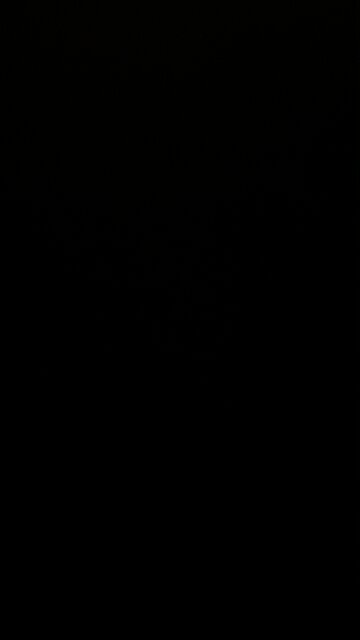 Columbia and Fordham