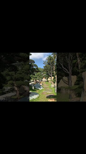 The goal of life is living in agreement with nature. ~ Zeno #nature #beautiful #park