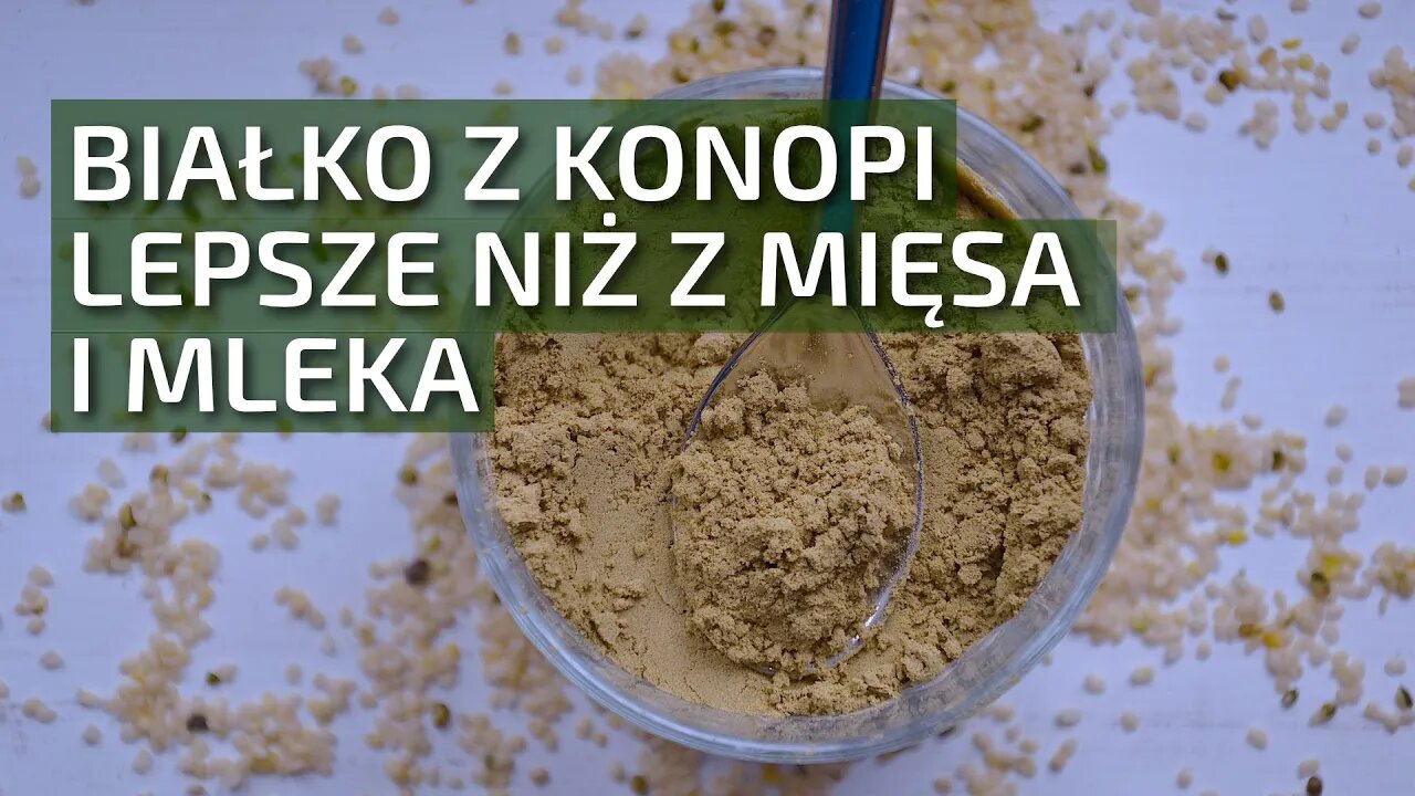 Białko konopne! Zdrowsze niż z mięsa i mleka | Dobrekonopie.pl