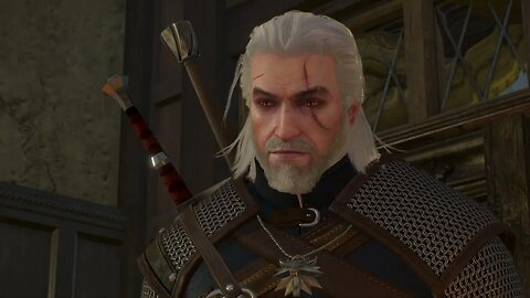 THE WITCHER 3 WILD HUNT Part 21