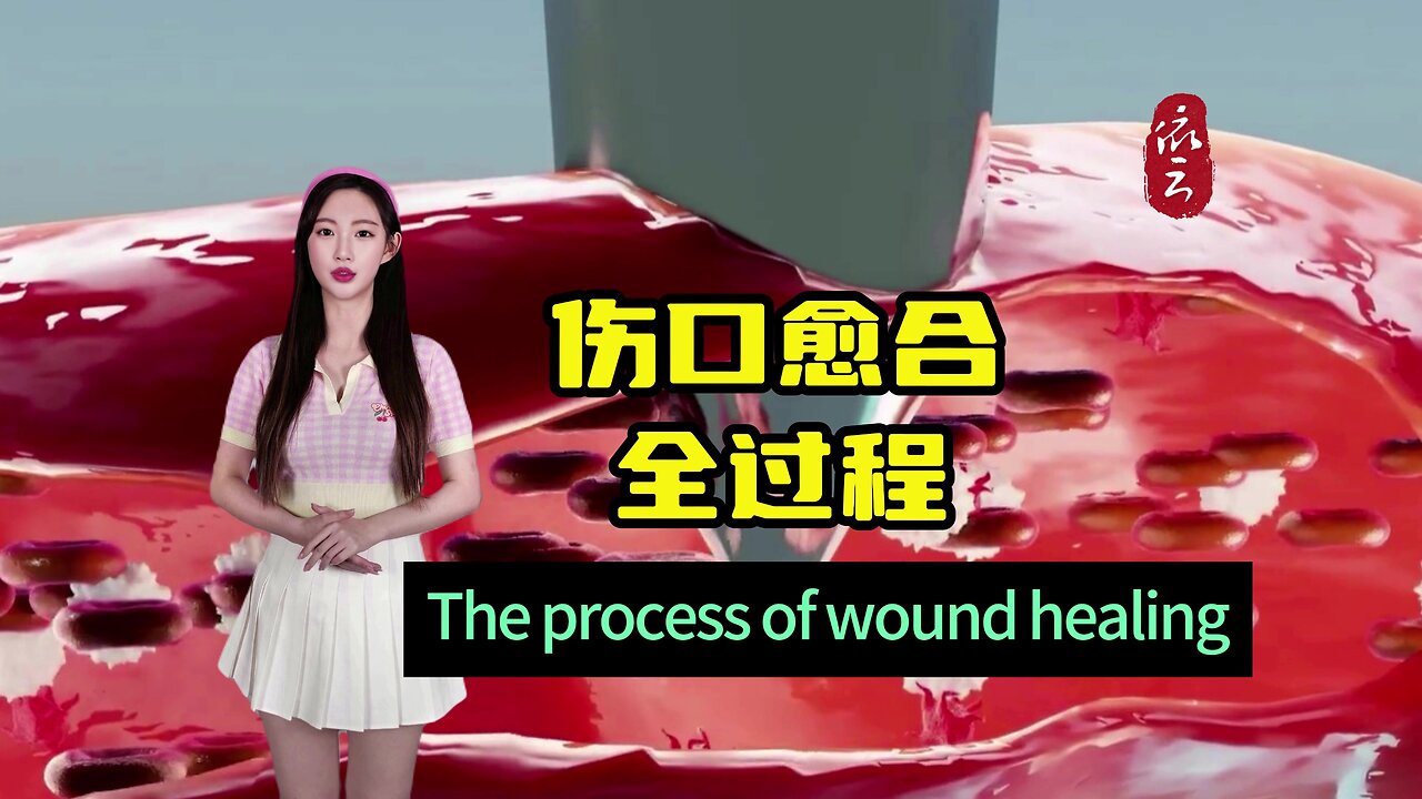 The entire process of wound healing