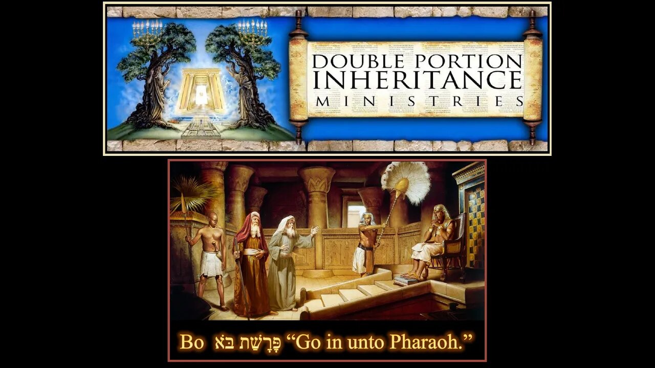 Torah Portion: Bo “Go in unto Pharaoh.”