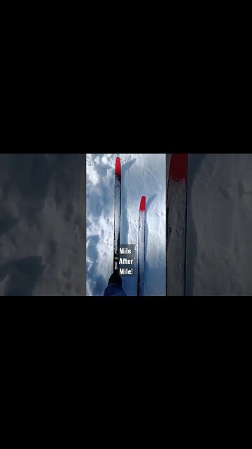 Putting on the miles! #skis #skiing #crosscountryskiing #shortsfeed #shorts #shortsvideo #miles