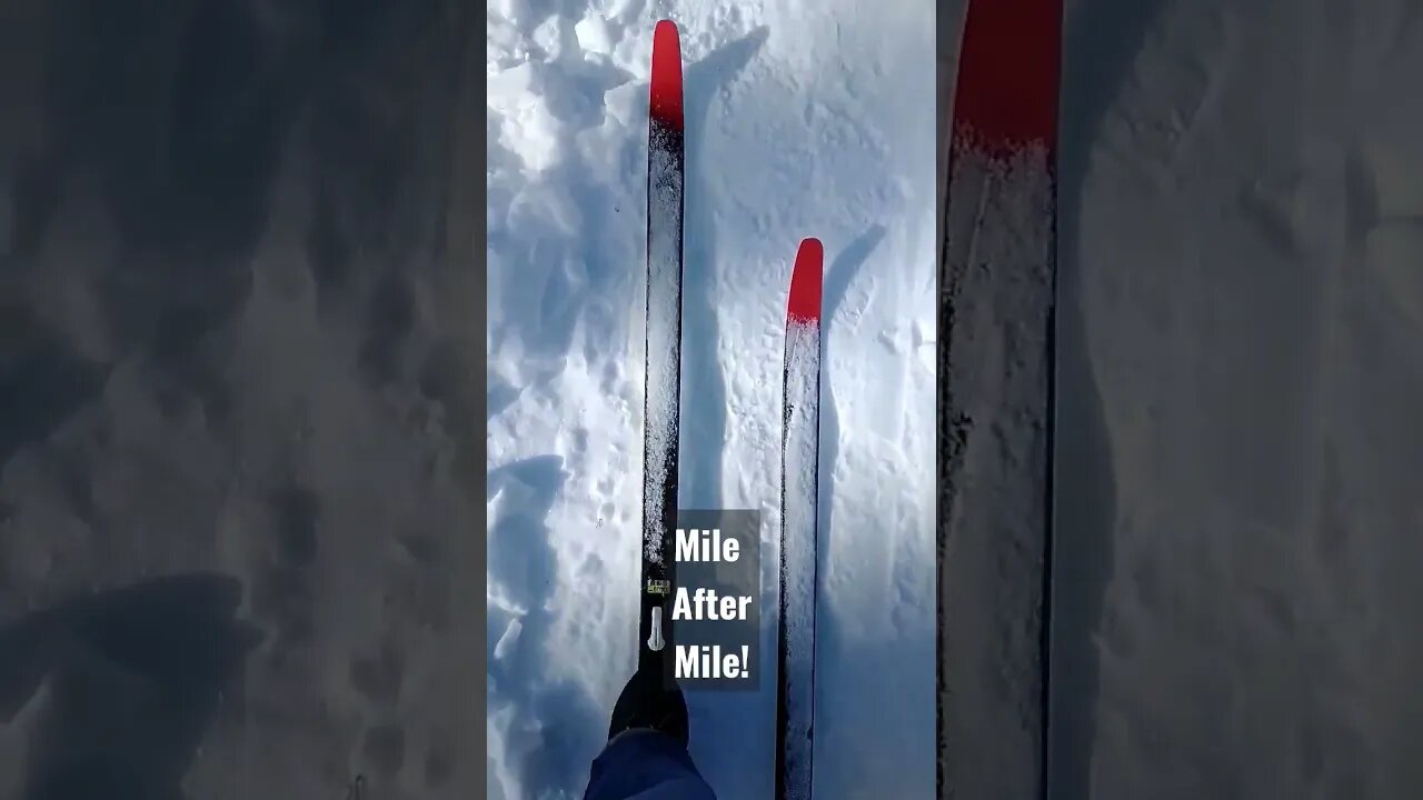 Putting on the miles! #skis #skiing #crosscountryskiing #shortsfeed #shorts #shortsvideo #miles