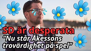 Jimmie Åkesson är desperat - därför tvingas man ryta ifrån