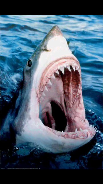 JUNE 1ST LGBTQ+P DAY