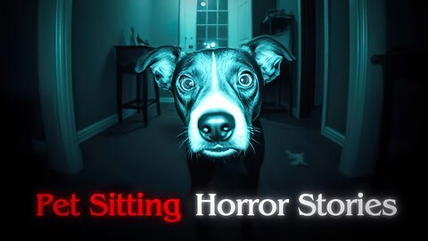 Description 3 Really Scary TRUE Pet Sitting Horror Stories