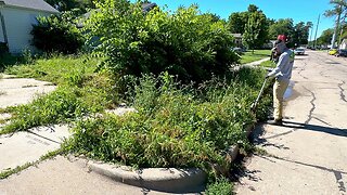 Home was EMPTIED after the woman died and the lawn grew WILD