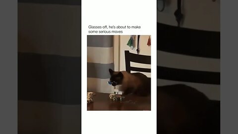 💀😂😂Subscribe on youtube * LINK IN BIO *#memes #dog #dogmemes #memes #funny #trynottolaugh #shorts