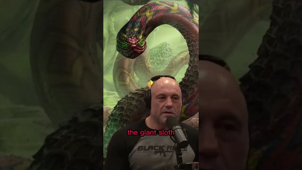 Python & anacondas - The possibility of a giant snake in the amazon - Joe Rogan & Forrest Galante