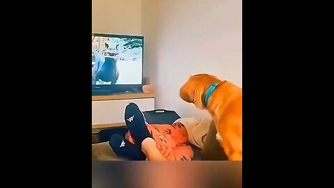 The Last Dog Going Around The Corner Like It Was Gonna Do Somm Was The Perfect Ending