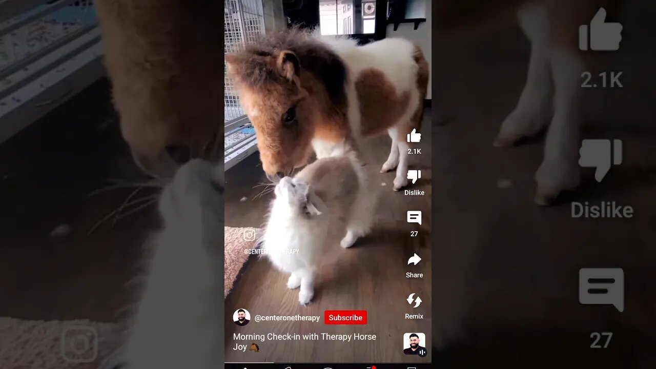 This Cuteness KILLS!