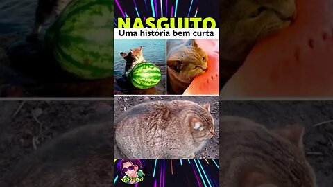 UMA HISTÓRICA BEM CURTA