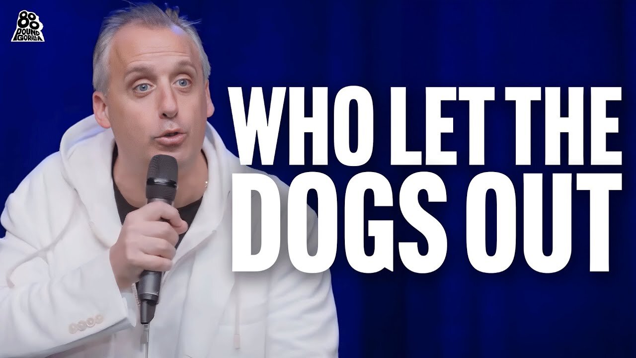 Who Let The Dogs Out | Messing With People